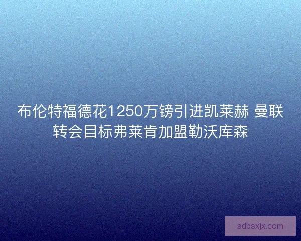 布伦特福德花1250万镑引进凯莱赫 曼联转会目标弗莱肯加盟勒沃库森